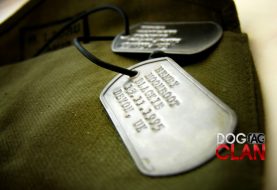 dog tag significado