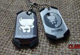 dog tag pit bull