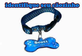 Placa Identificação Cães Gato Gravada Gravação Personalizada