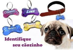 Placa de identificação para cães e gatos